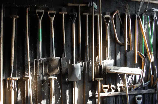 A set of garden tools